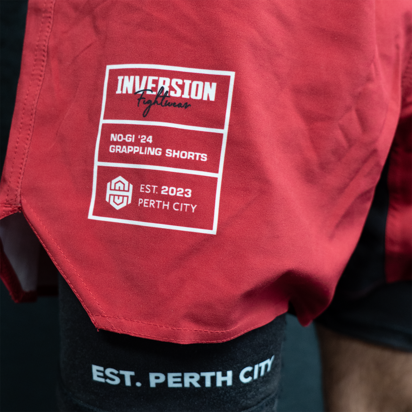 Akaryu BJJ Shorts (2 in 1) - Limited Edition 24'