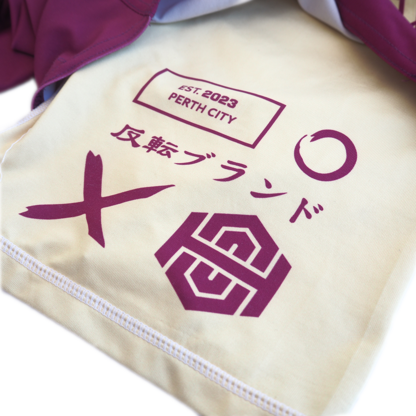 '24 Paint theme (2 in 1 BJJ Shorts) - WINE