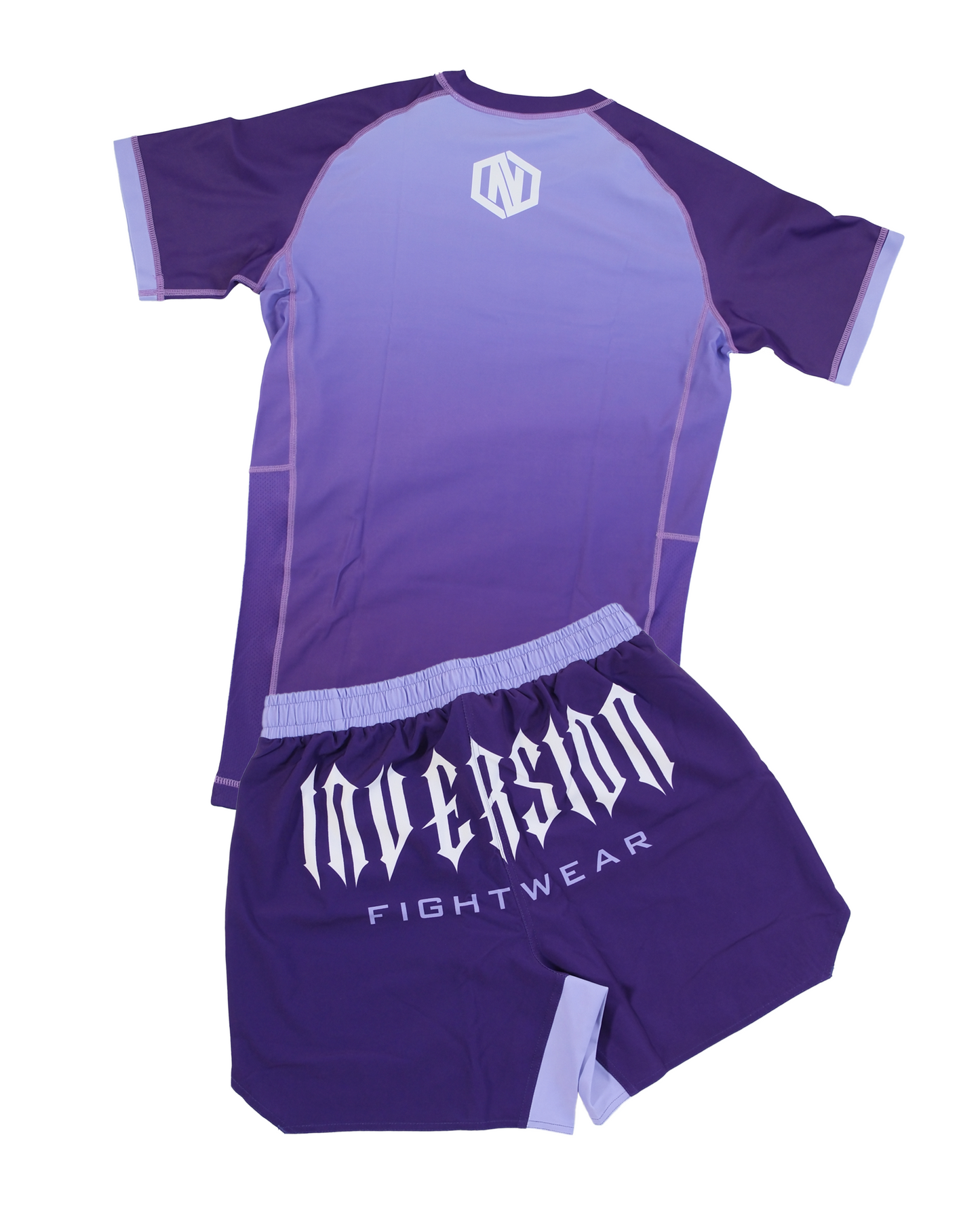 Purple Belt BJJ Shorts (Ranked)